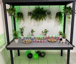 Greenzone - CBD Shop Bild 12