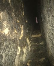 Schatz Francky image 3