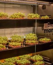 PETER PANE Burgergrill & Bar Bild 4