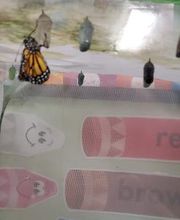 Debary Sonshine Academy image 18