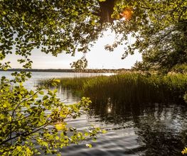 Der Besuch am Baum kann mit einem schönen Spaziergang um den Summter See verbunden werden.