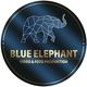 Blue Elephant Hochzeitsftoto- und Videograf