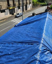 Montaner Georges Renove image 18