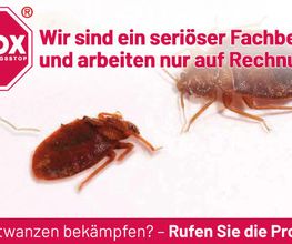 ATOX Schädlingsbekämpfungsfachbetrieb Bild 7