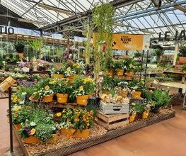 JARDILAND image 1