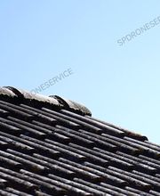 SP drone services EI image 5