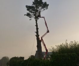 Jardin'Art image 11