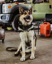 Brown's Service Center image 7