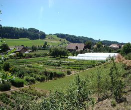 Créafloristique AG Bild 2