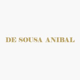 De Sousa Construction