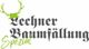 Lechner Baumfällung