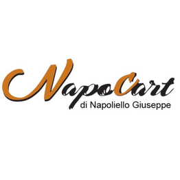 Napocart logo