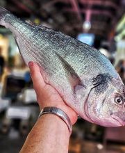 Julio Pérez SL imagen 11