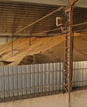 Pienso ecológico Bifeedoo imagen 14