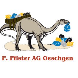 Peter Pfister AG logo