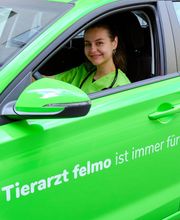 Tierarzt Stuttgart - felmo dein mobiler Tierarzt
