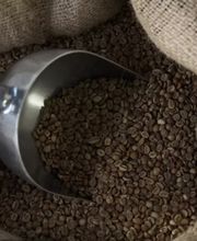 Spangler, Simon GbR Bild 2