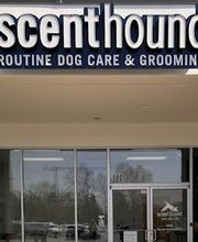 Scenthound Franklin image 1