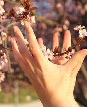 Yolanda García Gómez imagen 6