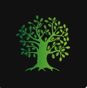 BSG Baumpflege Service Gärtner