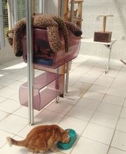 Joncour Marc image 5