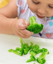 Johanna COQUET - Diététicienne Pédiatrique / Nutrition de l'Enfant image 1