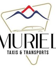 Muriel Taxis et Transports image 5