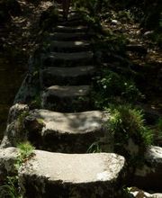 BREA FERNÁNDEZ, A. imagen 2