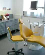 Dr. Sandra Bewersdorf Bild 7