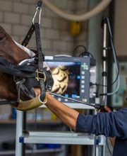 Pferdeklinik Thurland Bild 2