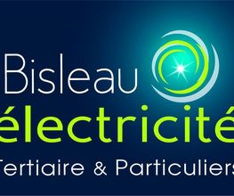Bisleau Electricité image 5