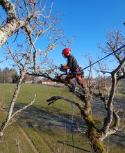 O COEUR DES CIMES image 1