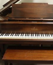 B Natural Pianos & Music School image 19