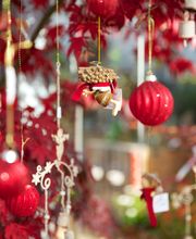 Gärtnerei Allemann GmbH Bild 11