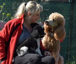 Hundeschule Simone Blasek Bild 1