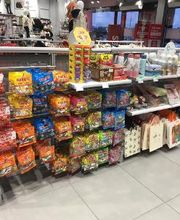 Orchestra TOURS Nord image 15