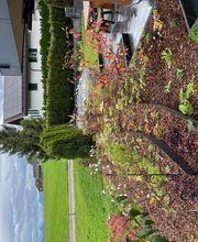 LUTZ Gartendesign GmbH Bild 13