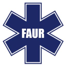 Ambulances Faur