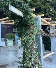 Graniti, Giardini e Pali di Castagno by DT Multiservices di Daniele Tiboni, selvicoltore AFC Bild 12