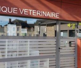 MON VETO image 2