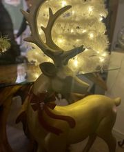 Hotel & Restaurant Weisses Ross Bild 5