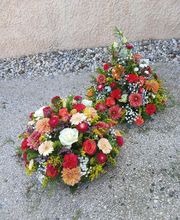 Nymphea Fleurs image 3