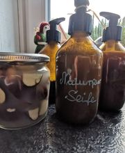 Die Waldfrauen Bild 6