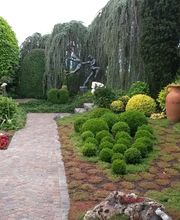 Thomas Kuster Gartenbau & Gartenpflege Bild 8