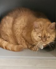 AU CHARME CANIN image 13