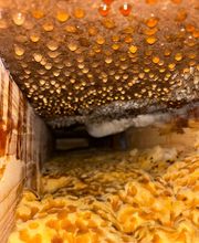 WhatsApp Image 2024-11-26 at 14.15.32 (2).jpeg