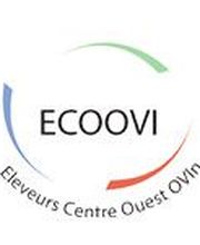 Ecoovi image 2