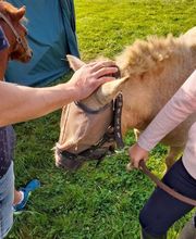 Sebastien Dragin image 2