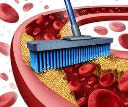 Institut für Ganzheitsmedizin Andreas Burgdorf Heilpraktiker Bild 2