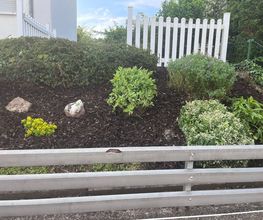 Lenhardts-Gartenpflege Bild 5